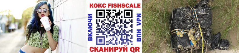 КОКАИН Fish Scale  Купить закладки  Великий Устюг 