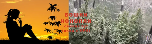 ПСИЛОЦИБИНОВЫЕ ГРИБЫ Армянск