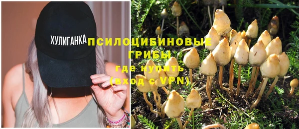 гидропоника Арсеньев