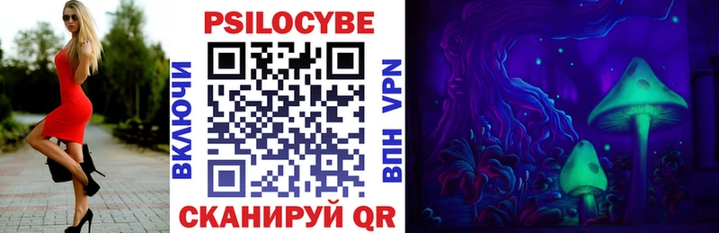 Купить  Великий Устюг  Галлюциногенные грибы Psilocybe 