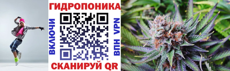 Купить где  Великий Устюг  МАРИХУАНА план 